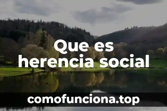 Yepakilxo que es 6 Que es herencia social