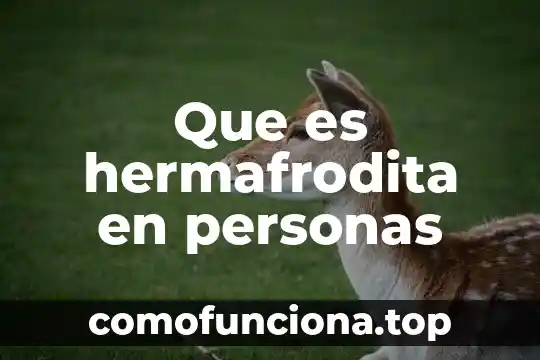 Significa que es tecnología 5 Que es hermafrodita en personas