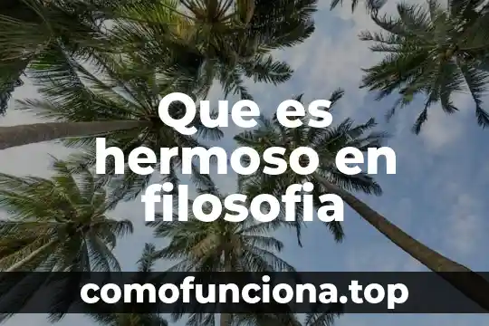 Qué es la filosofía según hobbes 5 Que es hermoso en filosofia