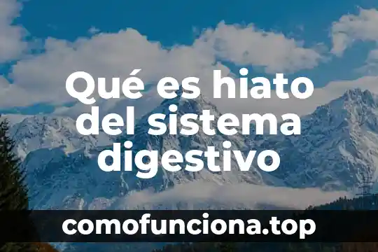 Que es sociedad civl 7 Qué es hiato del sistema digestivo