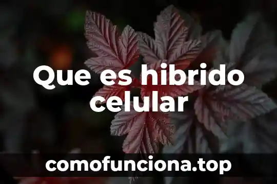 Que es un celular desechable 8 Que es hibrido celular