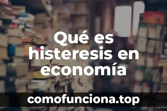 Qué es connotación en economía 6 Qué es histeresis en economía