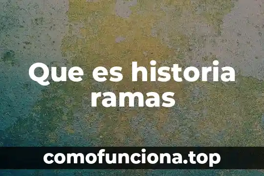 Que es la fisica clasica y sus ramas 8 Que es historia ramas