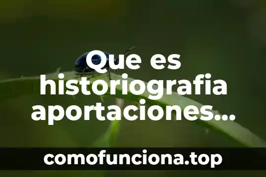 Qué es historiografía en el patrimonio cultural 5 Que es historiografia aportaciones de historiadores
