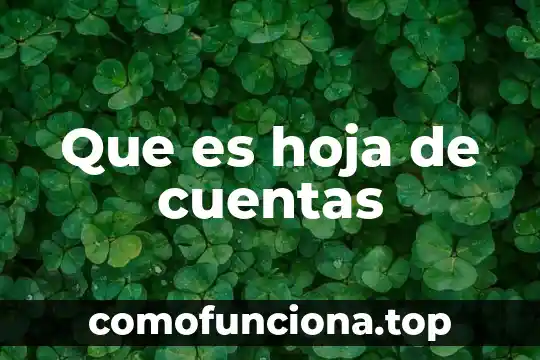 Que es ser aoasionada 8 Que es hoja de cuentas