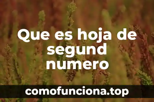 Transferencia banca móvil Santander que es el número de referencia 3 Que es hoja de segund numero