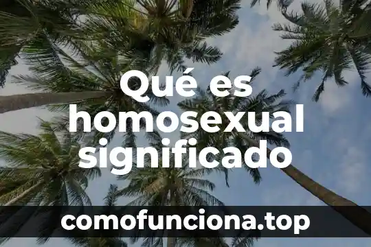 Que es significado implicito 6 Qué es homosexual significado