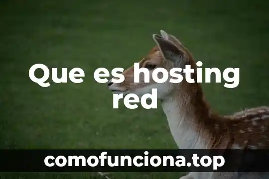 Tarjeta interfaz de red que es 7 Que es hosting red