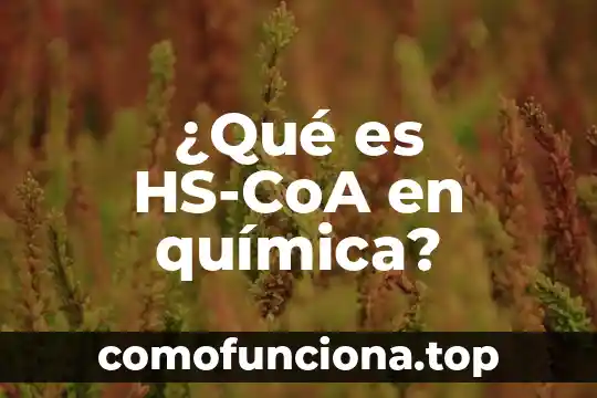 Que es sociedad quimica 5 ¿Qué es HS-CoA en química?