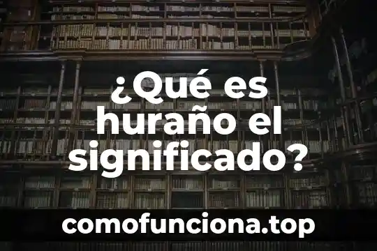 Que es un backup en sistemas 5 ¿Qué es huraño el significado?