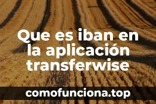 Qué es una aplicación de entretenimiento en informática 6 Que es iban en la aplicación transferwise