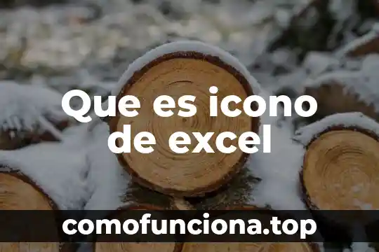 Que es el icono de contabilidad electrónica de microsip 6 Que es icono de excel