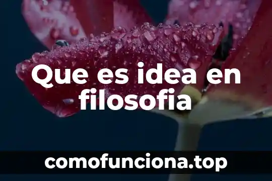 Que es una idea principal en un texto 5 Que es idea en filosofia