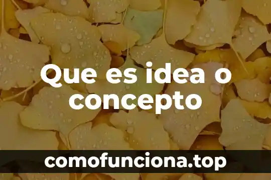 Que es transformaciones en el plano 7 Que es idea o concepto