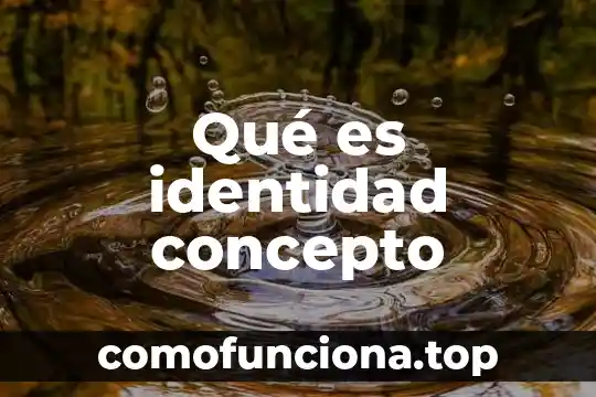 Que es labaro patrio concepto 4 Qué es identidad concepto