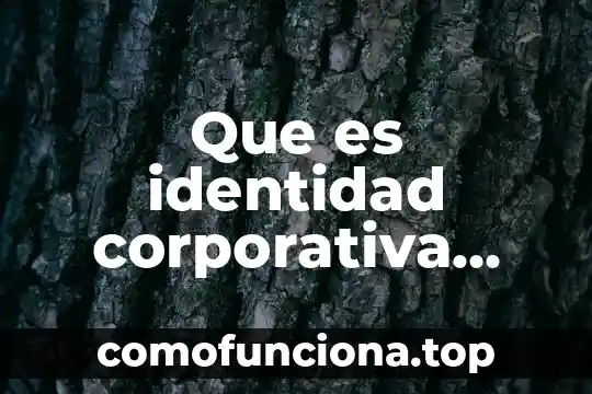 Que es el significado de chihuahua 7 Que es identidad corporativa ejemplos