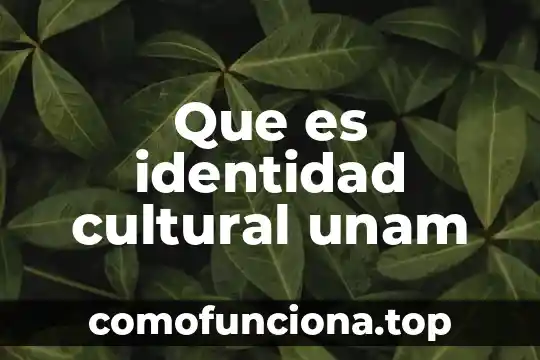 Que es la identidad gráfica en grafoscopia 3 Que es identidad cultural unam