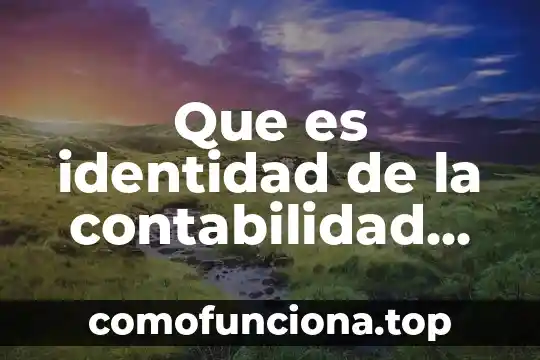 Que es la identidad gráfica en grafoscopia 8 Que es identidad de la contabilidad nacional