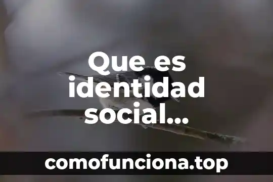 Qué es la risperidona definición 5 Que es identidad social definicion