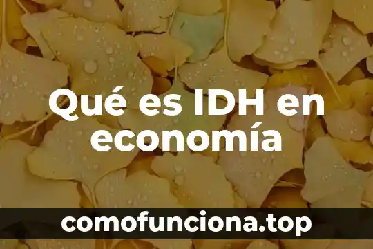 Qué es una teoría economía 4 Qué es IDH en economía