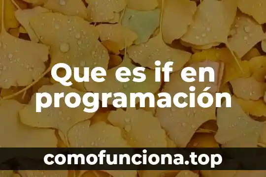 Que es un concepto basico de la programacion 6 Que es if en programación