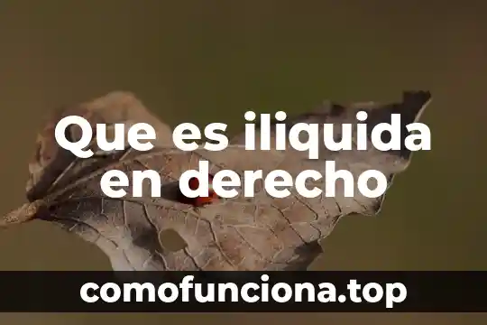 Qué es el derecho electoral conclusión 4 Que es iliquida en derecho