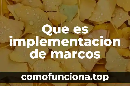 Que es el uso de marcos n exel 5 Que es implementacion de marcos