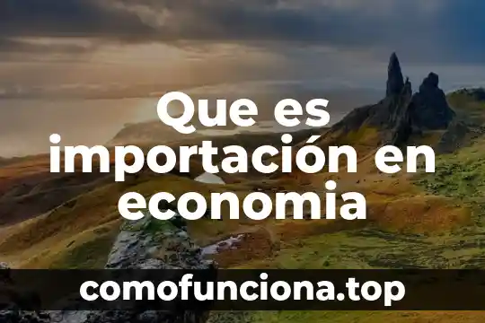 Que es produccion eficiente en economia 5 Que es importación en economia