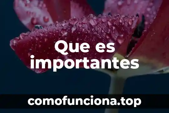 Que es valores lógicos 7 Que es importantes