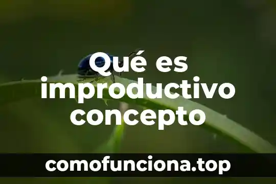 Qué es el concepto minimalista 3 Qué es improductivo concepto