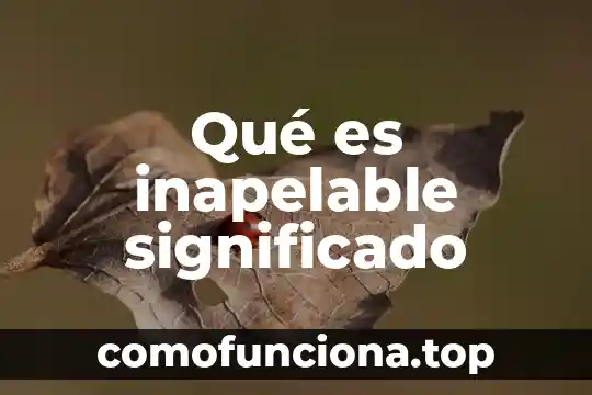 Que es interoceptiva significado 8 Qué es inapelable significado