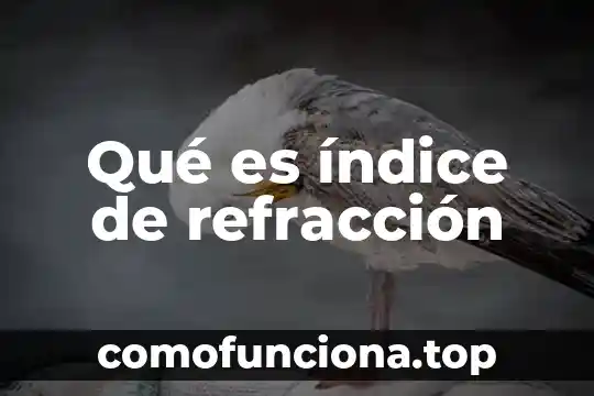 Que es el indice de realidad en la tecnica rorschach 4 Qué es índice de refracción