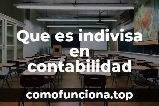 Que es el patrimonio para la contabilidad 5 Que es indivisa en contabilidad