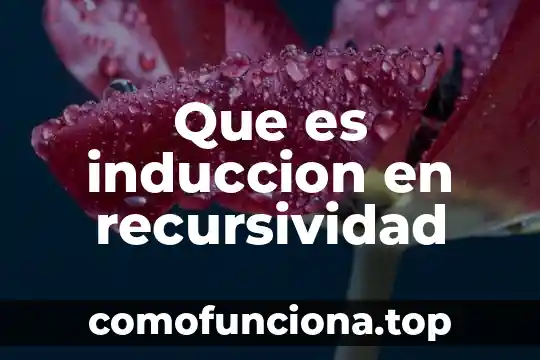 Que es inteligencia lógico-matemática 4 Que es induccion en recursividad
