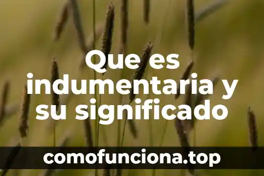 Que es refulgente significado 3 Que es indumentaria y su significado