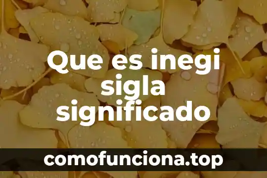 Chicle: Origen y Significado 3 Que es inegi sigla significado