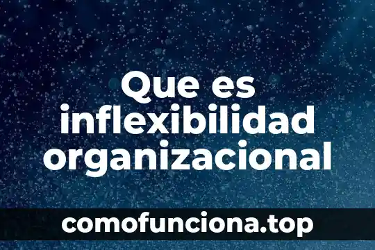 Que es estructura organizacional matricial 6 Que es inflexibilidad organizacional