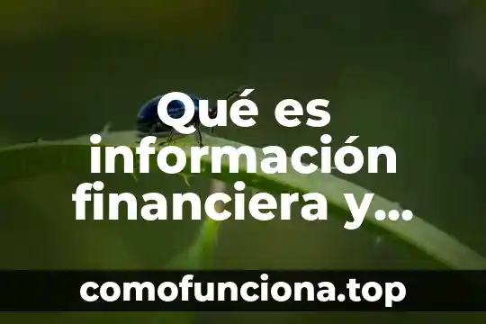 Que es una planeacion administrativa y financiera 4 Qué es información financiera y para qué sirve