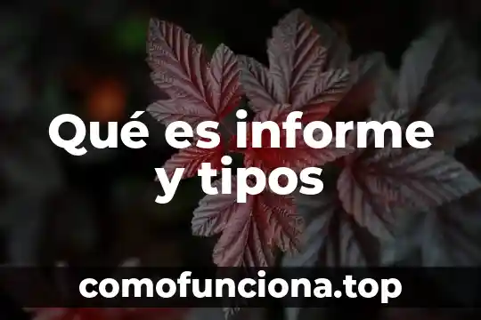 Que es una casa de cultura caracteristicas tipos 7 Qué es informe y tipos