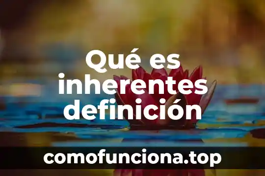 Qué es teporocho definición 7 Qué es inherentes definición