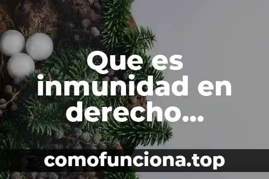 Que es la idea teocentrica del derecho 5 Que es inmunidad en derecho constitucional