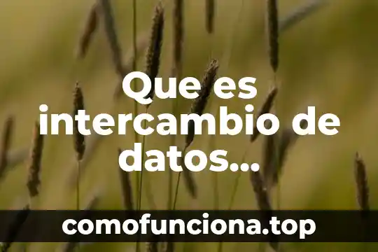 Que es un formato de datos personales 5 Que es intercambio de datos personales