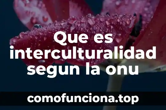 Qué es el concepto interculturalidad 3 Que es interculturalidad segun la onu
