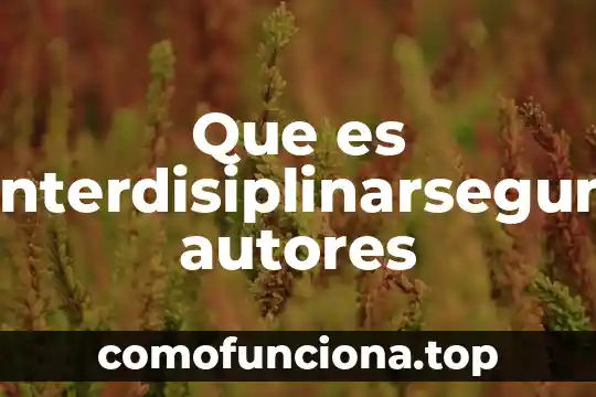 Según distintos autores que es el razonamiento 6 Que es interdisiplinarsegun autores