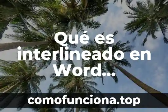 Qué es teporocho definición 5 Qué es interlineado en Word definición