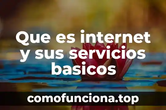 Que es un recurso de servicios de internet 8 Que es internet y sus servicios basicos