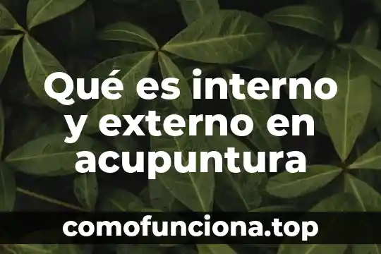 Que es el conocimiento externo e interno 7 Qué es interno y externo en acupuntura