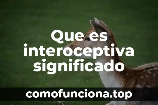 Que es su significado 6 Que es interoceptiva significado