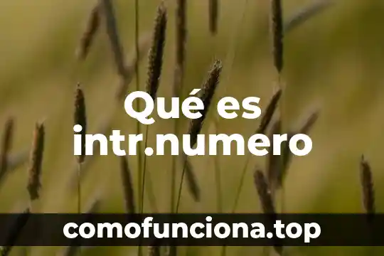Que es inteligencia lógico-matemática 6 Qué es intr.numero