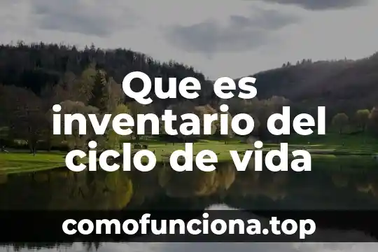 Que es de por vida significado 3 Que es inventario del ciclo de vida